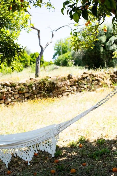 Tomara House Country Getaway - Housity