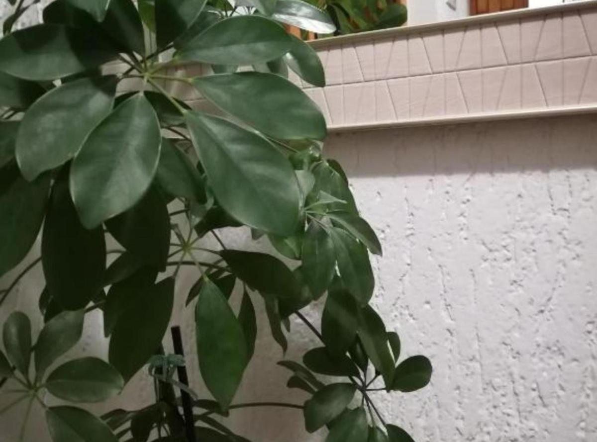 Apartman Olymp Osijek-garaža - Housity