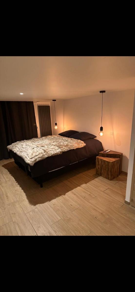 suite l'hallali du cerf - Housity