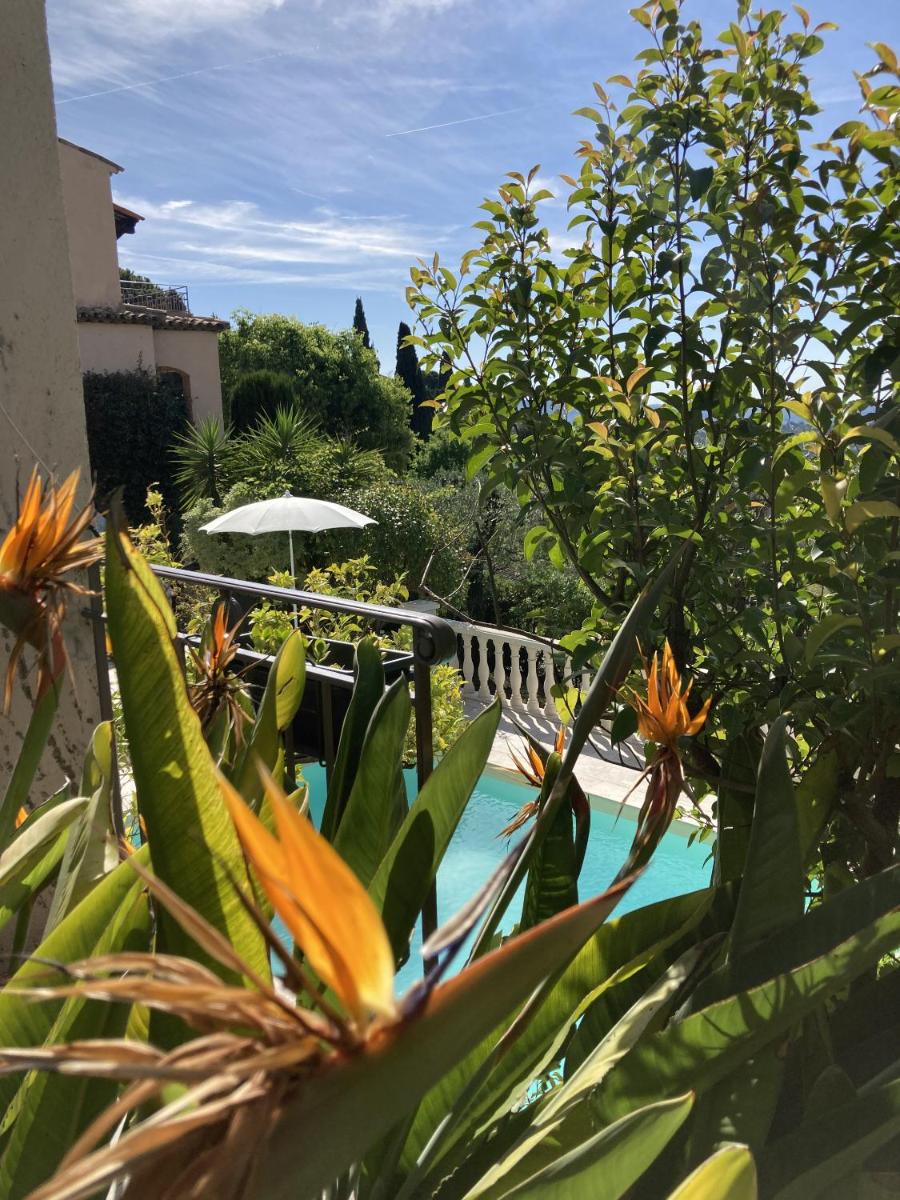 les petites terrasses - Housity