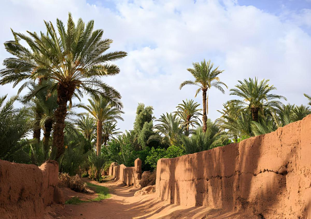 Sahara Berber Camp - Housity