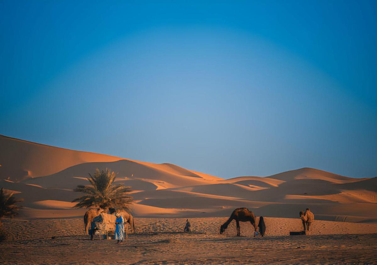 Sahara Berber Camp - Housity