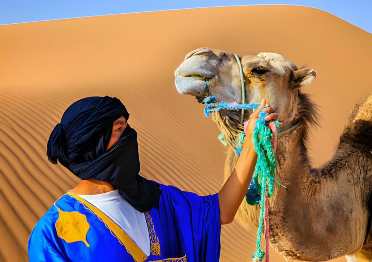 Sahara Berber Camp - Housity