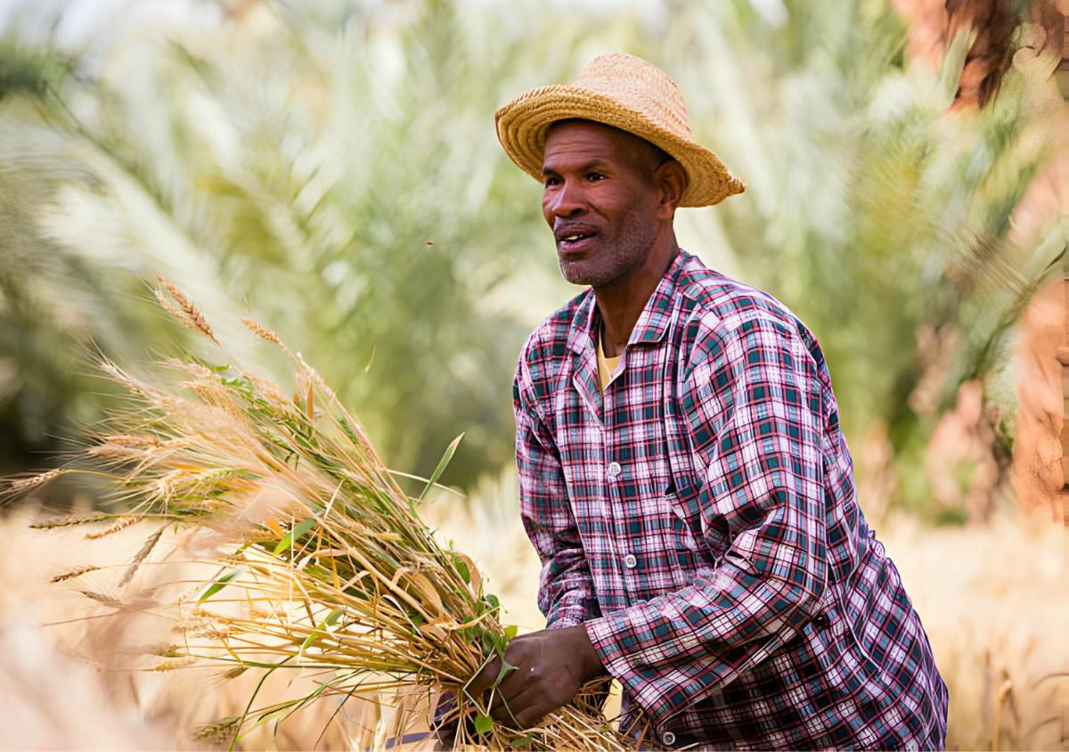 Sahara Berber Camp - Housity