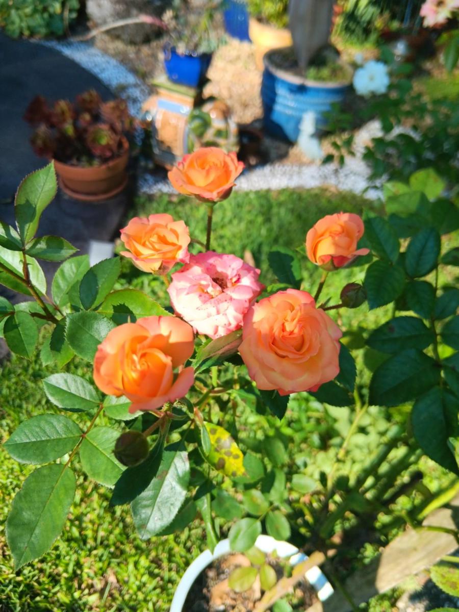 Mapleton Peaceful Provence BnB - Housity