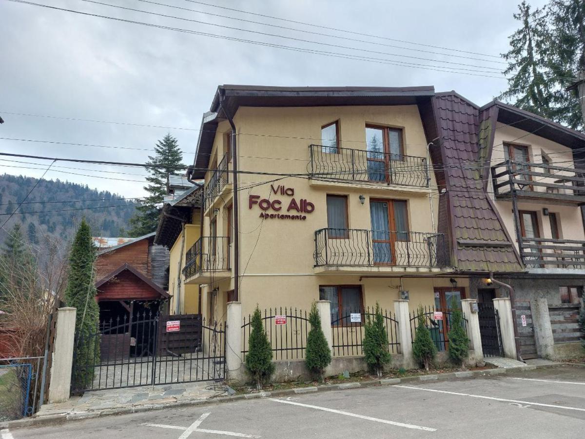 Vila Foc Alb Apartamente-Busteni - Housity