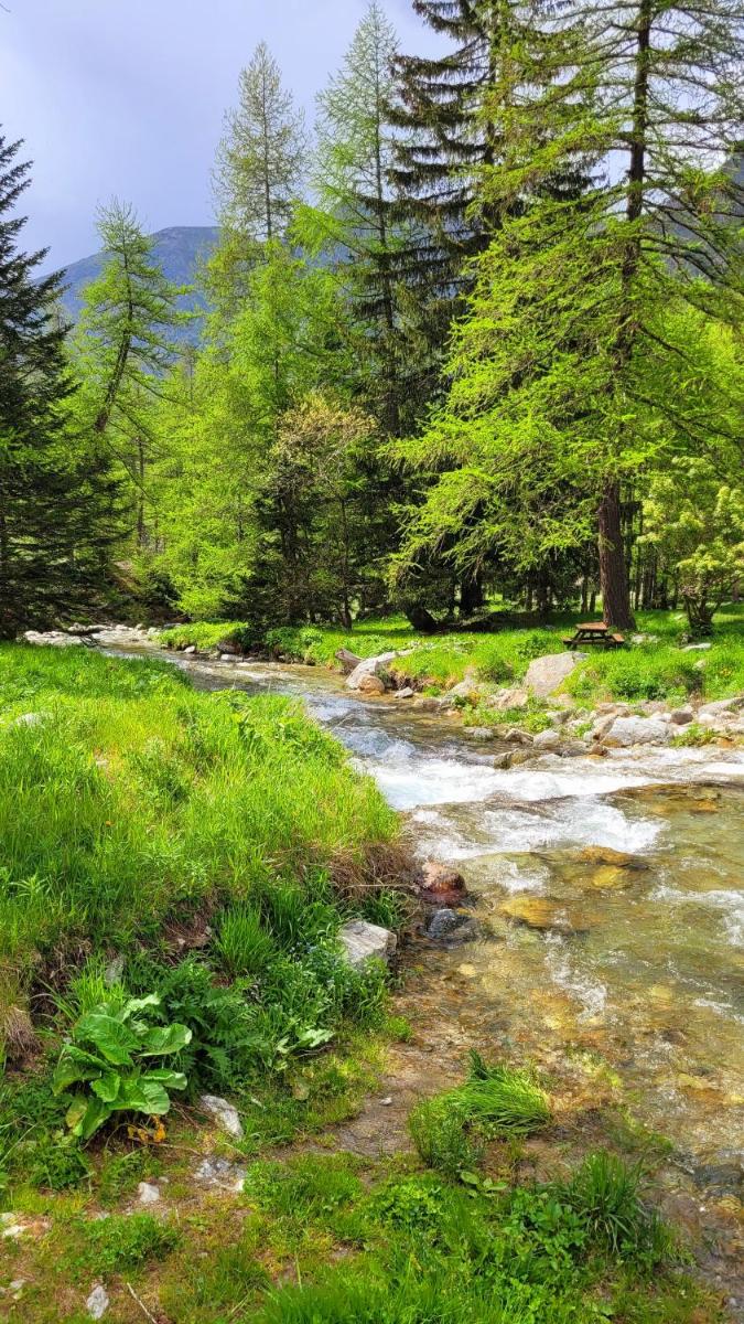 Isola 2000 pied des pistes-wifi - Housity