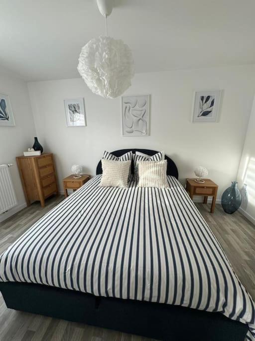 Appartement Plein Centre - Housity