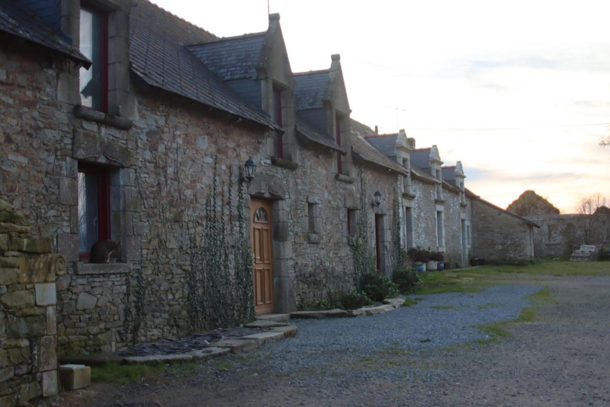 La Petite Bérais - Housity