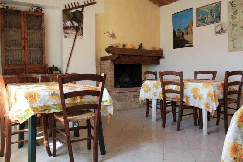 Agriturismo da Remo - Hizvo