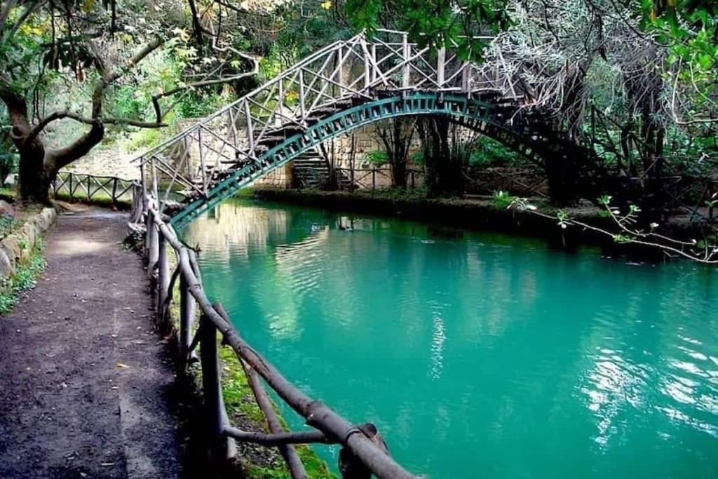 Vergina Apartments - Housity