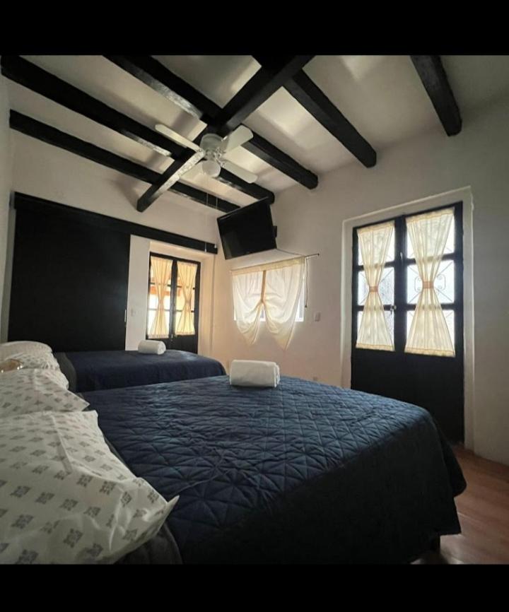 Luna 49 - Housity