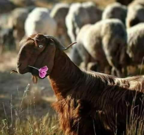 My Grandfather's House - Housity