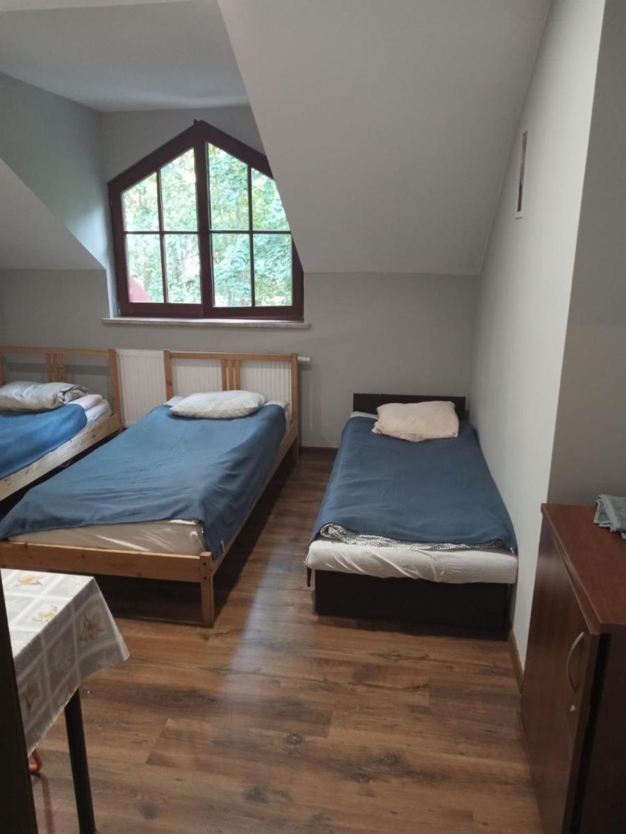 Willa Wiekowa Sosna - Housity