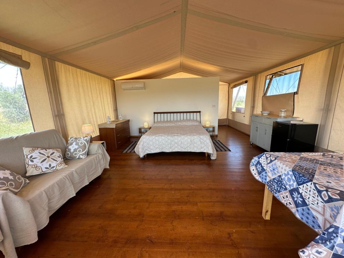 Villa Diana - Housity