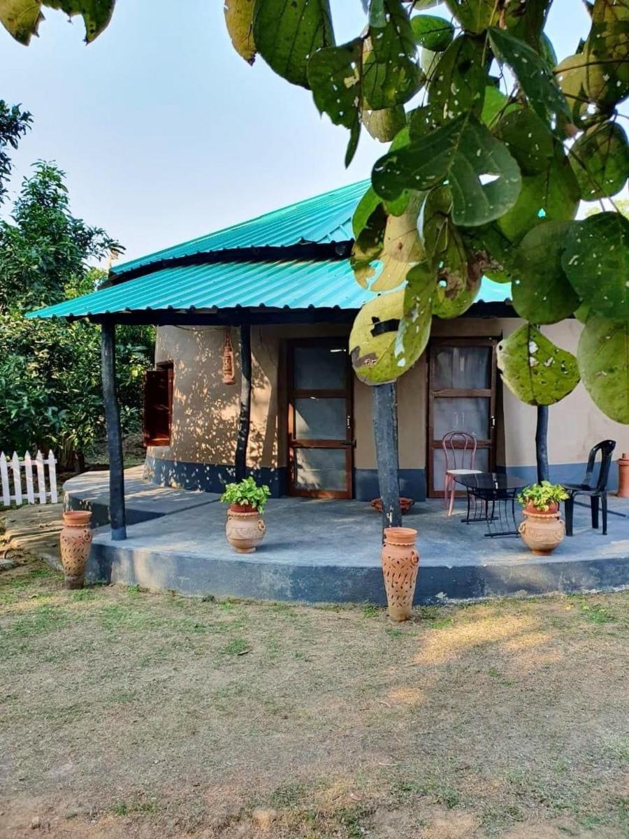 The Red Soil Country - Housity