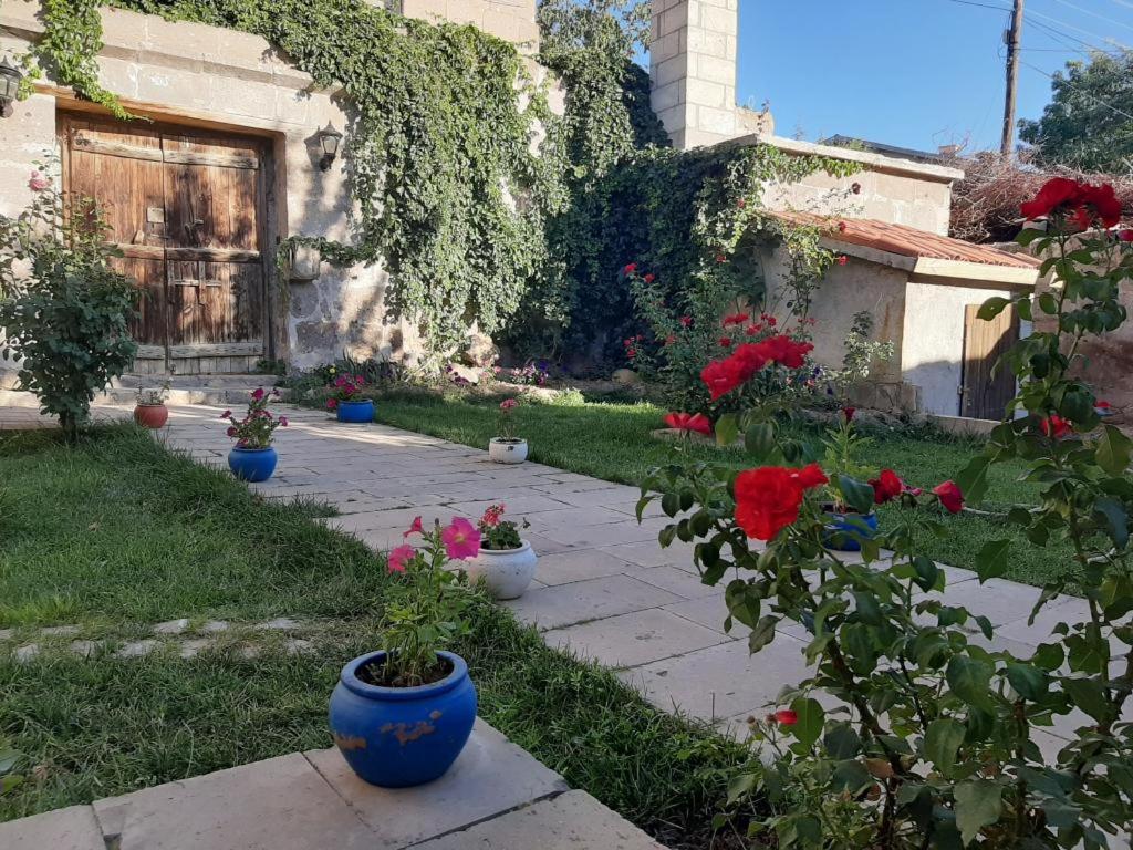 Mayaoglu Konagi Hotel - Housity