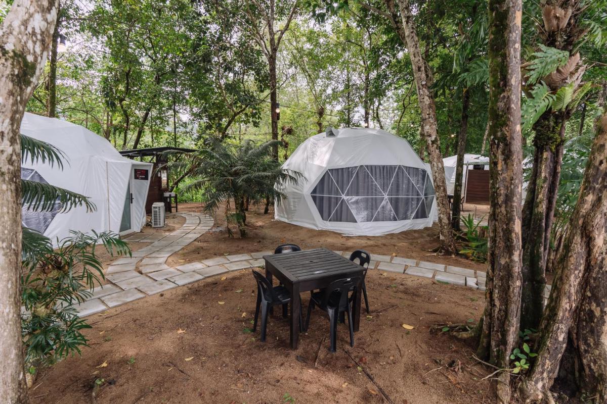 Roxy Sematan Villa & Townhouse - Housity
