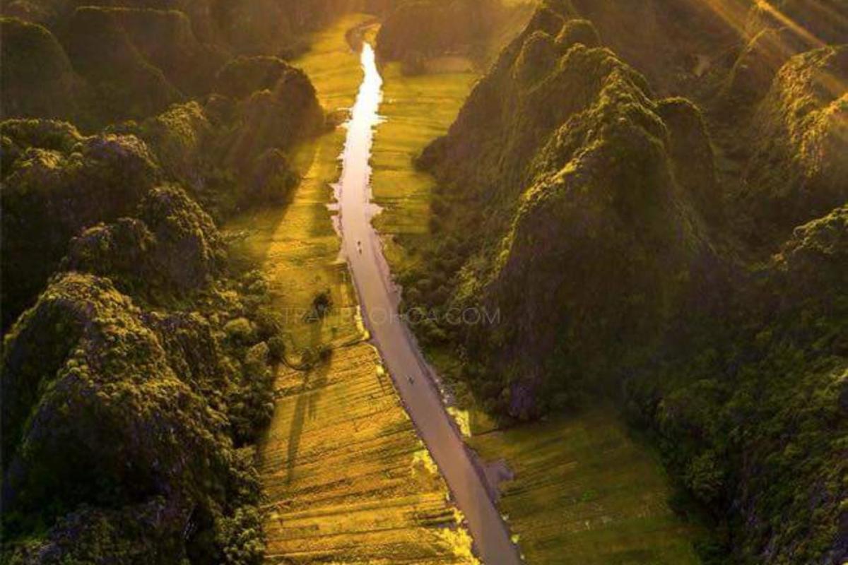 The Pineapple House - Housity