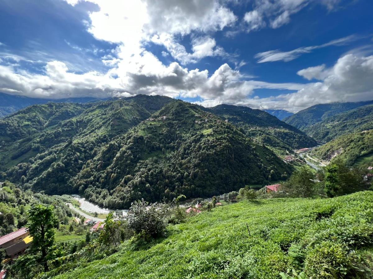 Suitetrails - Buscar