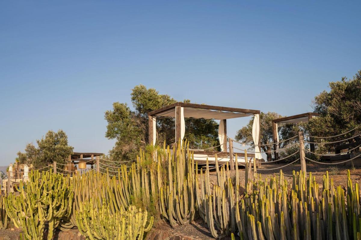 Jardín al aire libre en Salobre Hotel Resort & Serenity