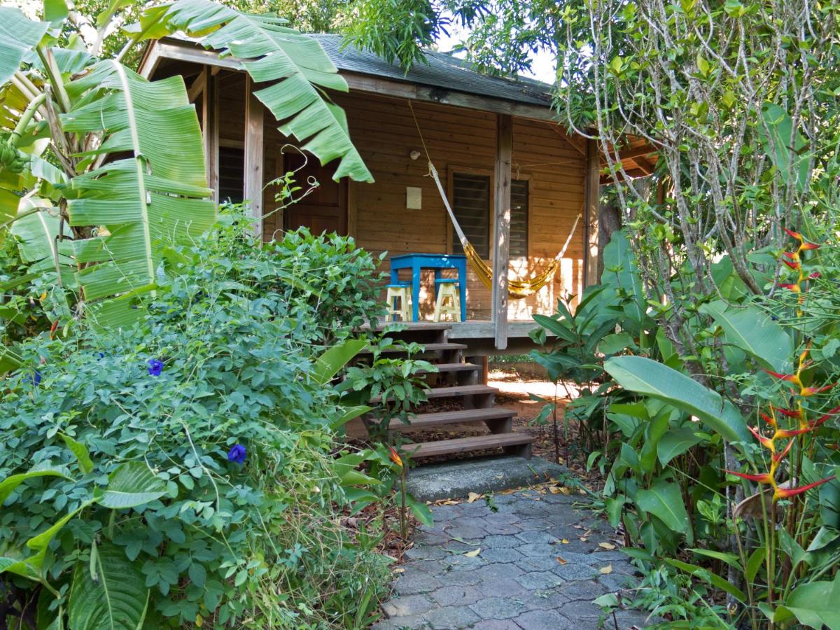 Hotel Chillies and Native Sons Diving - Housity