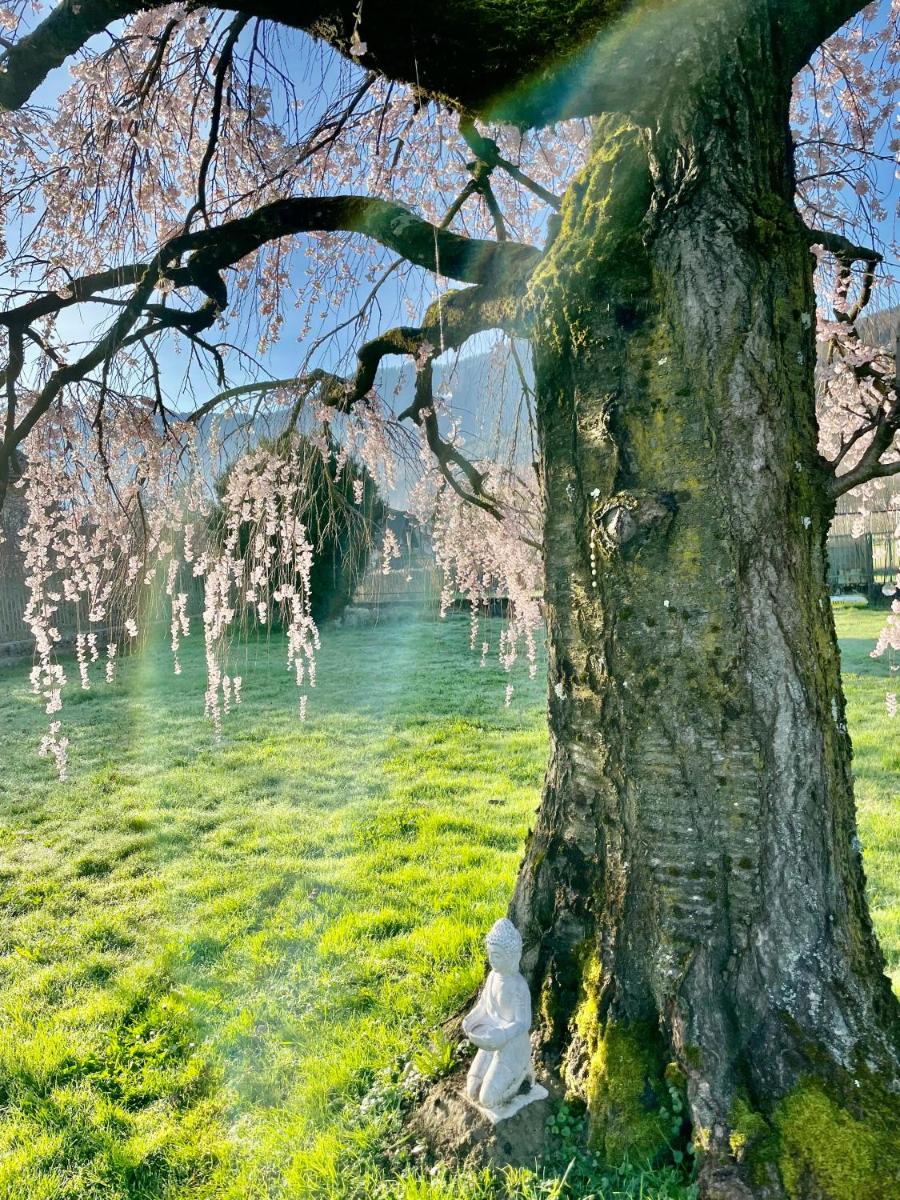 Paradiso sul lago - Housity
