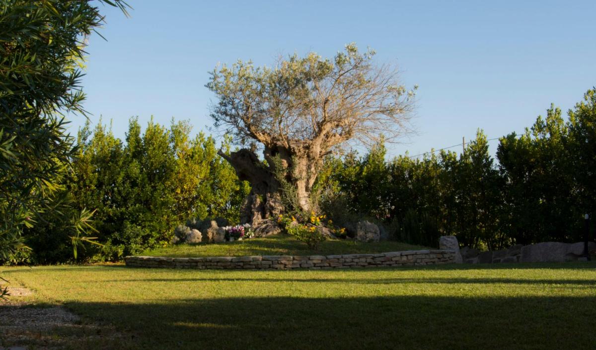 Agriturismo La Violetta - Housity
