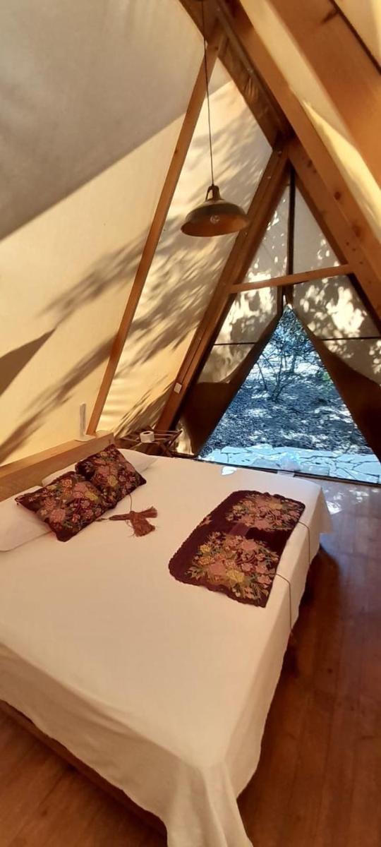 Canto del Agua Ecolodge - Housity