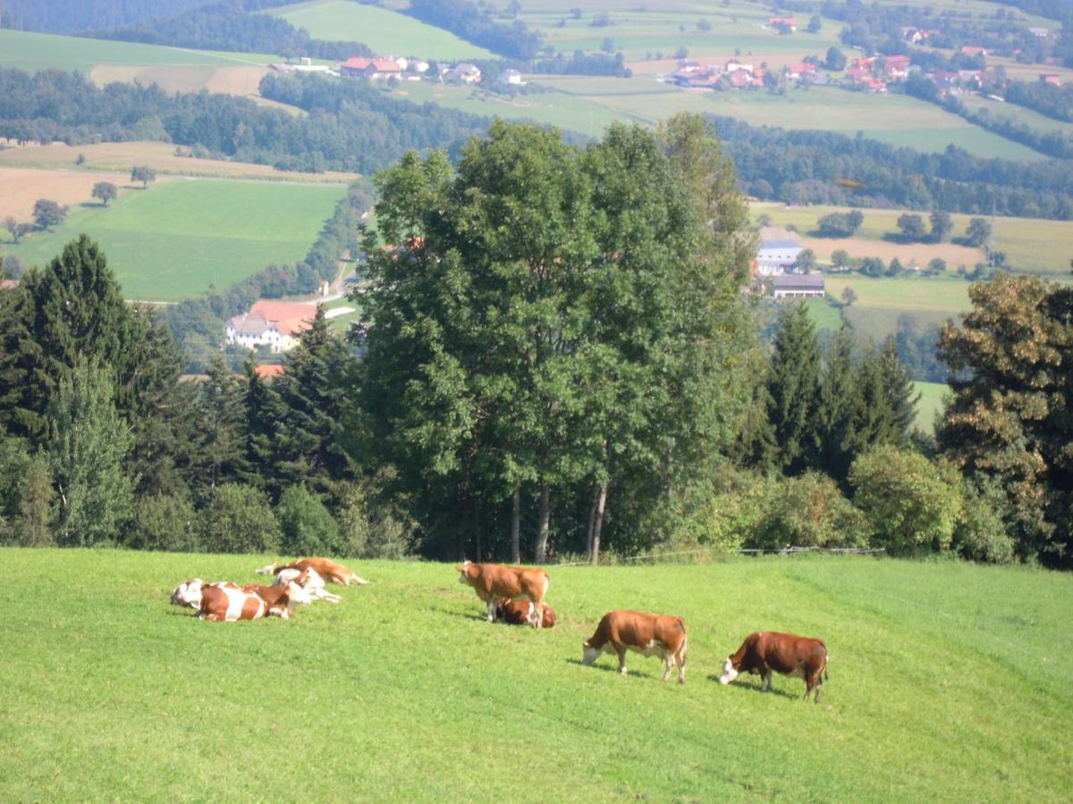 Seppl Am Berg - Housity
