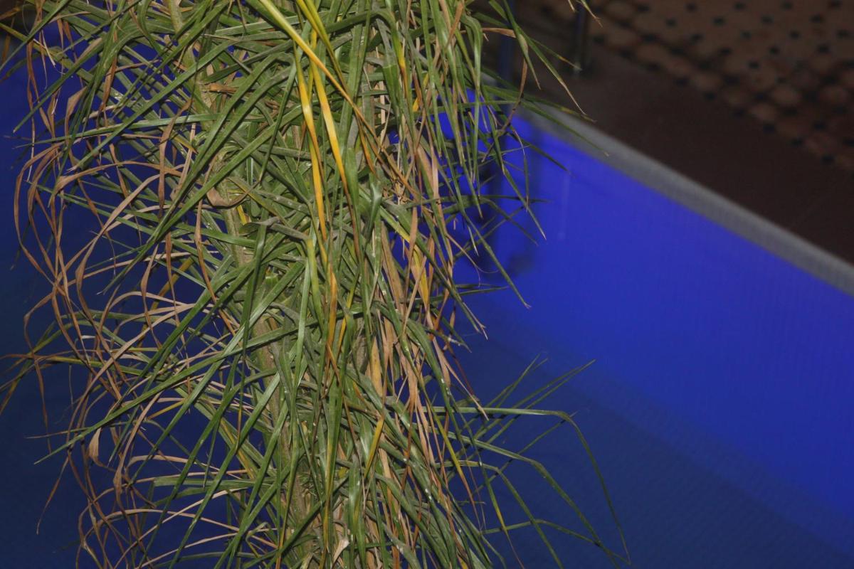 Riad Dar Moulay Ali - Housity