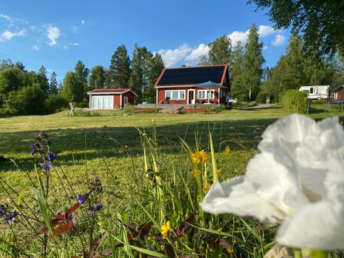 Suitetrails - Sjöutsikt, Röd trästuga med traditionellt yttre Skandinavisk, modernt inre och alla bekvämligheter, Sol hela dagen på stora altanen, Tryggt, Vinterbonat, Fiske, Båt