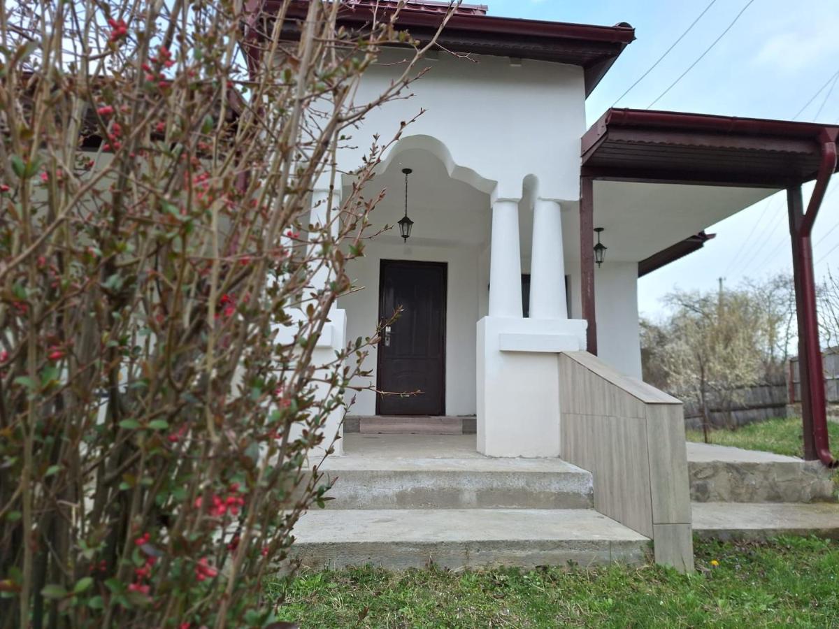 Casa Michel - Housity