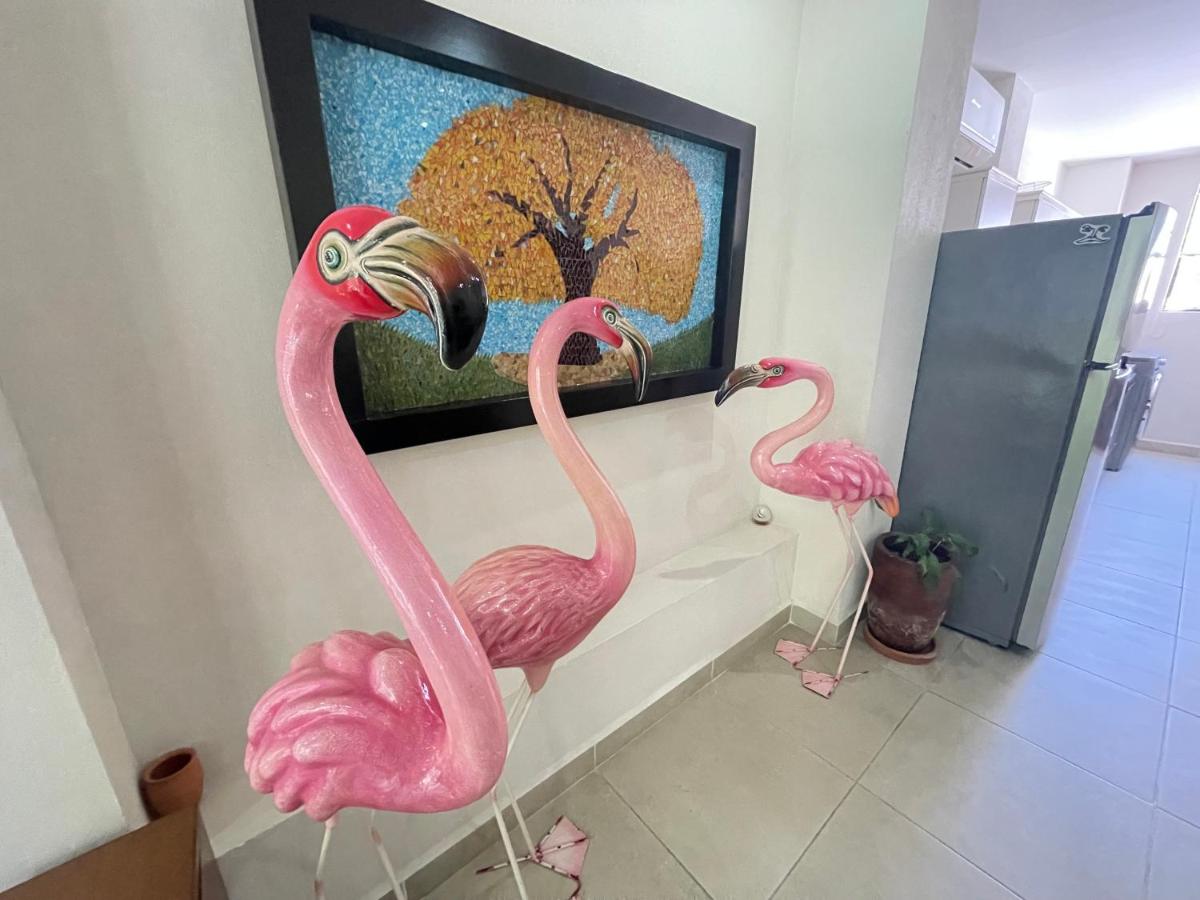 Flamingos in the Romantic Zone - Housity