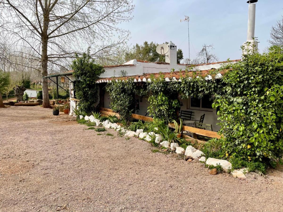 Camping El Madroñal - Housity