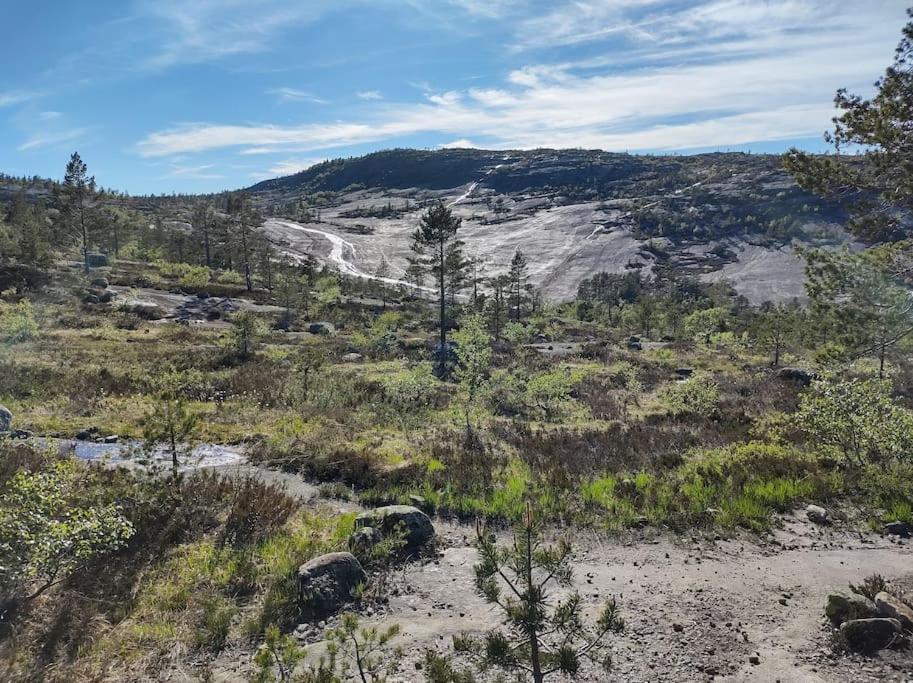 Utleieleilighet 4 sengeplasser Ski inn og ut - Housity