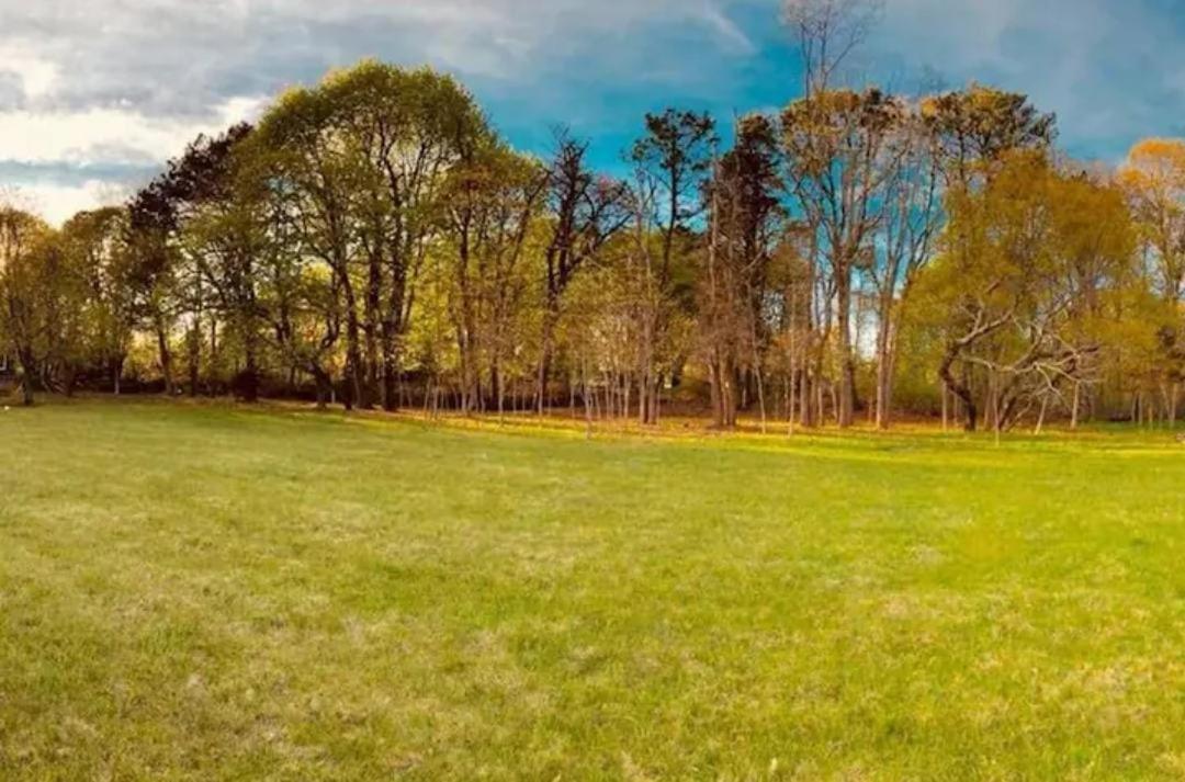 Cozy Modern Ranch House Near Bellport/Hamptoms - Housity