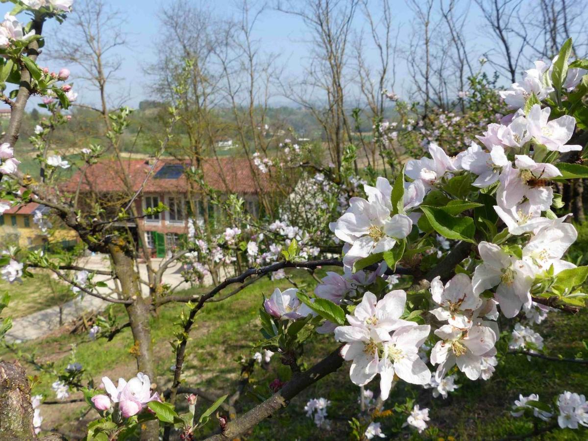 B&B Il vecchio pero - Housity