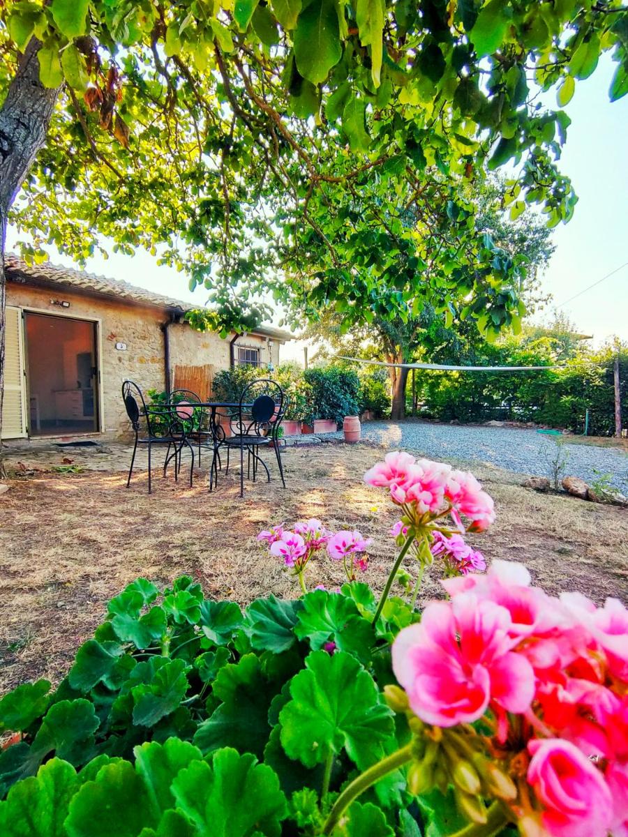 La casina - Housity