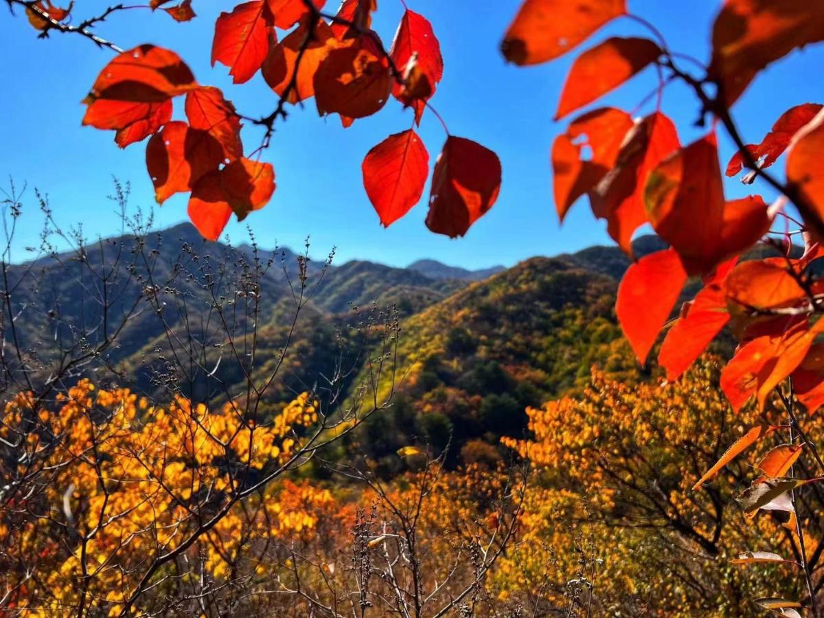 Relax Homestay at the foot of the Great Wall - Housity