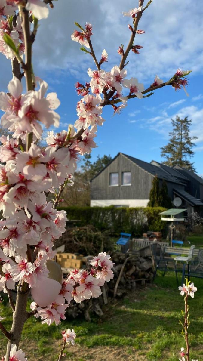 Ferienhaus Lotte Havelland - Housity