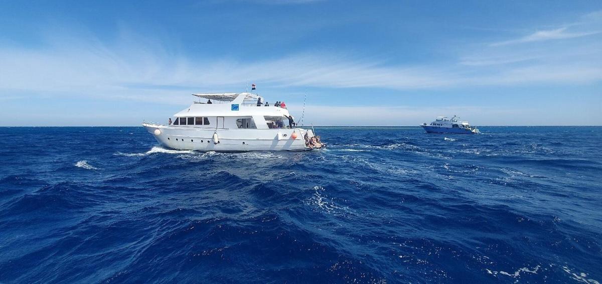Hurghada Tours - Housity
