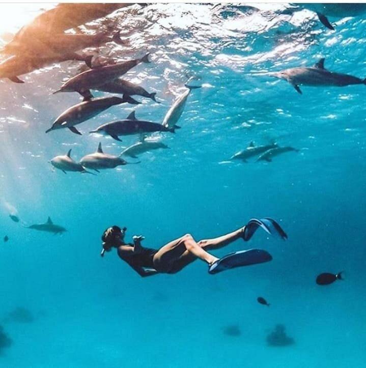 Hurghada Tours - Housity