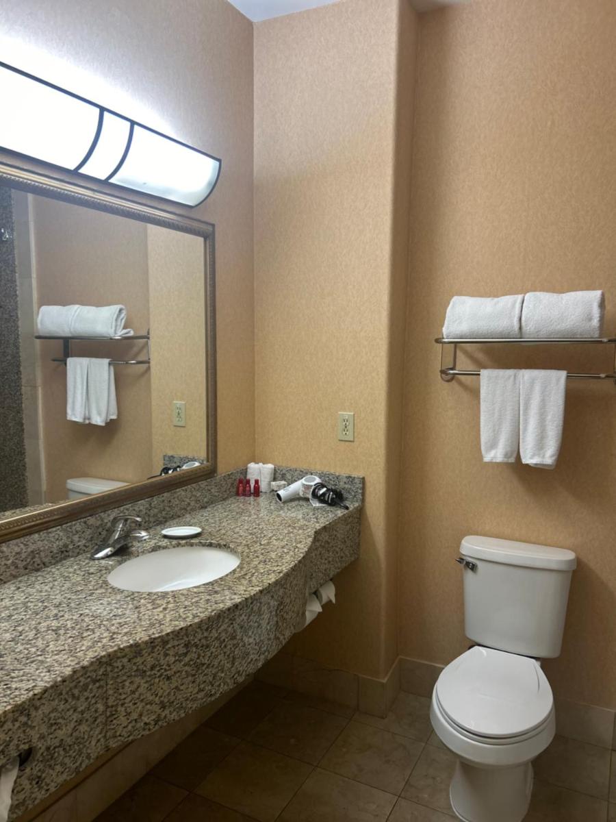 Holiday Inn Express Las Vegas-Nellis, an IHG Hotel - Housity