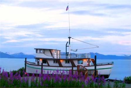 Alaska Adventure Cabins - Housity