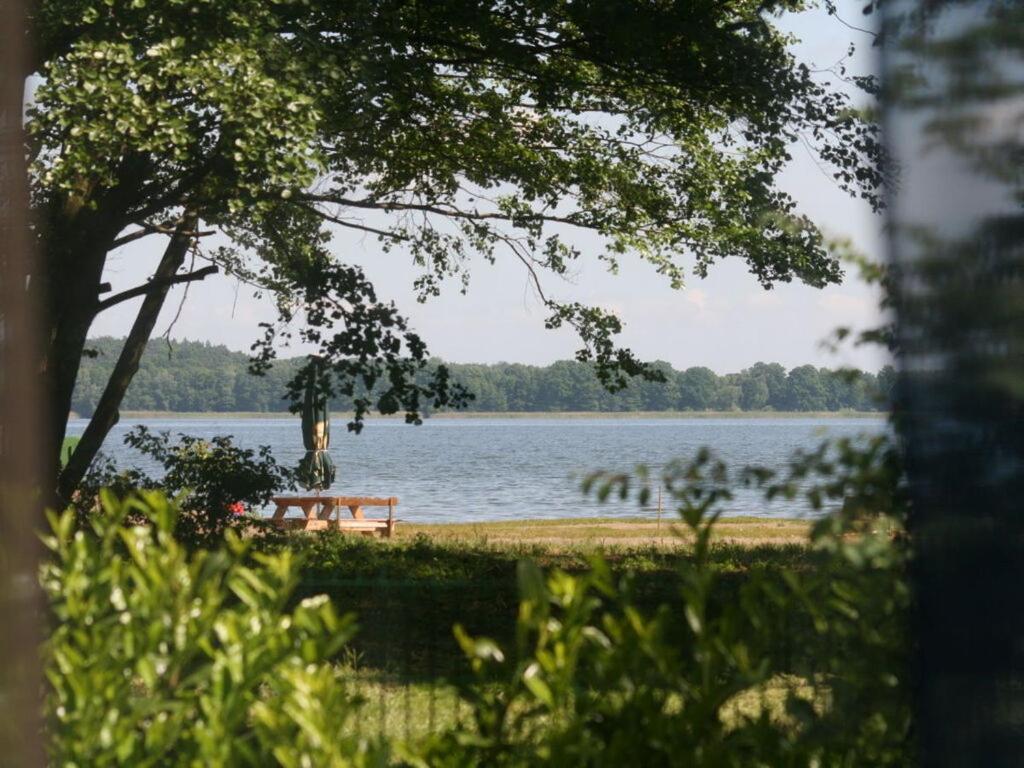 on Grimnitzsee with lake views - Housity