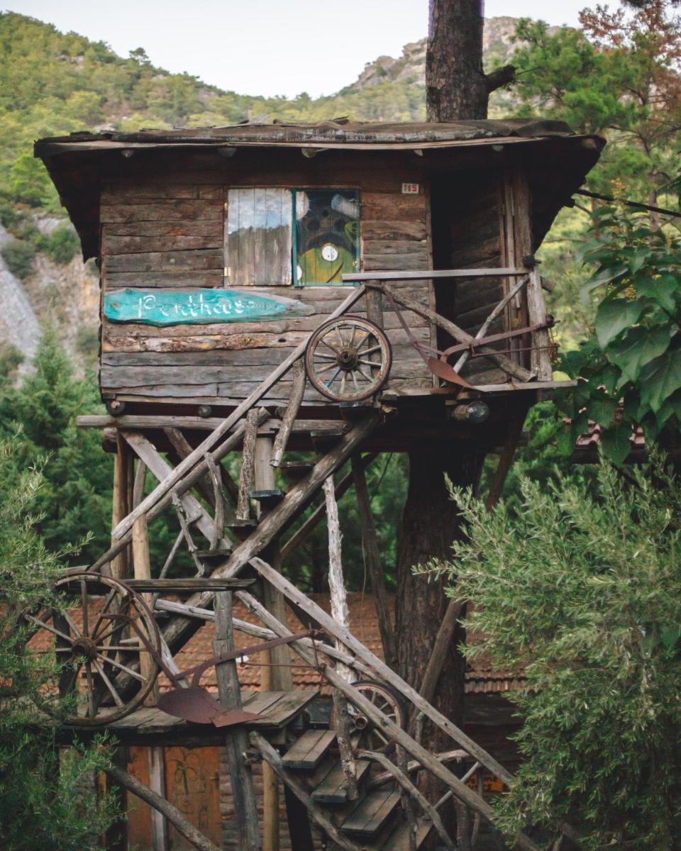 Kadir's Top Tree Houses - Housity