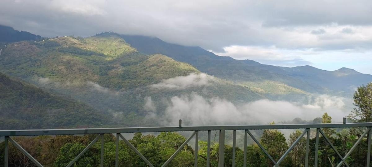 Doltan Homestay - Housity