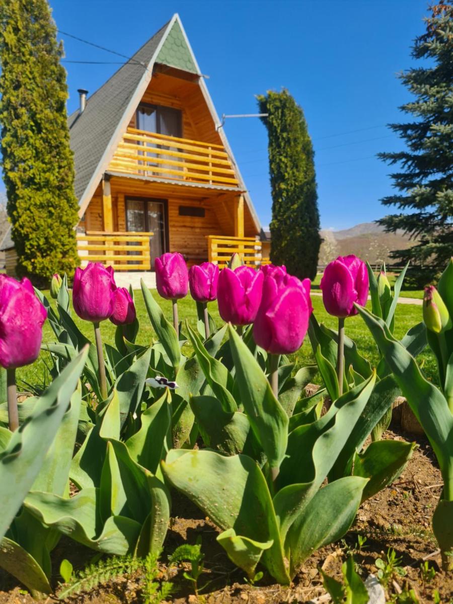 Chalet Velebitska Kuća - Housity