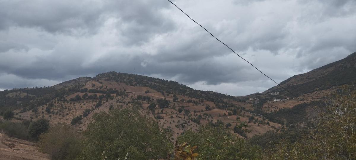 Panoramic ketama - Housity